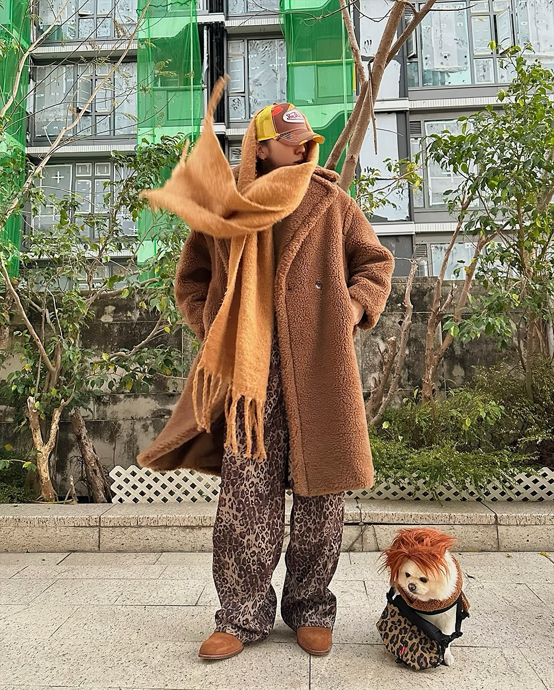 Stylish Dogs and Fashion Choices: A Unique Perspective