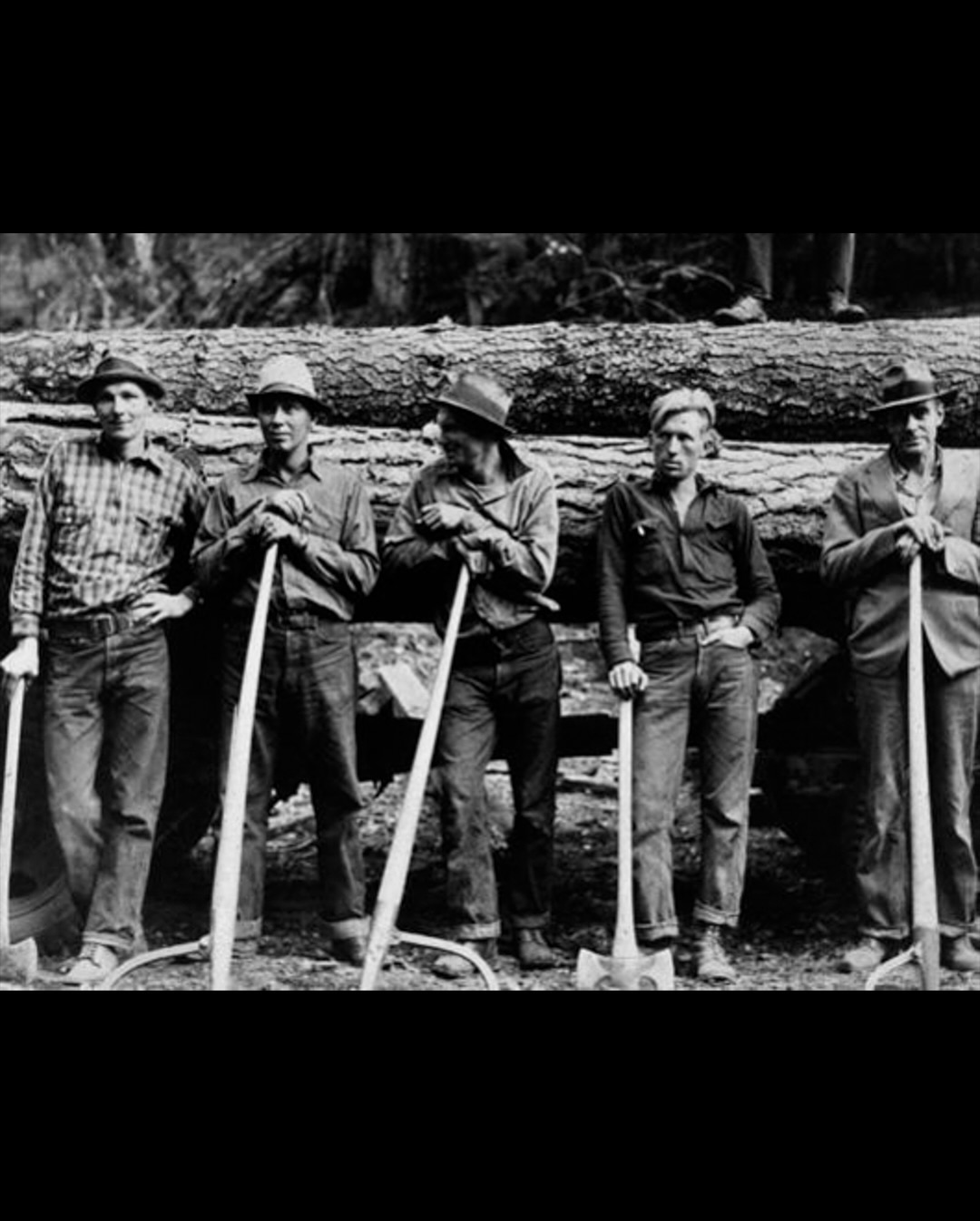 From Workwear to Worldwear