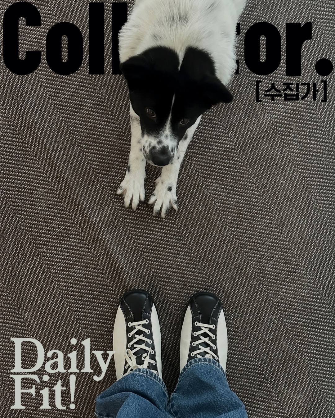 Collector. Daily Fit Archive 04